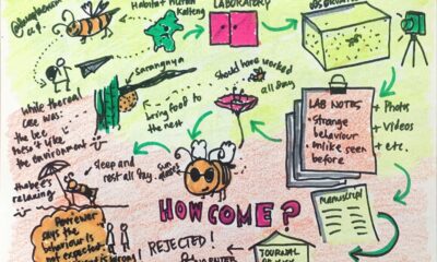 Wikimedia peer reviewed science jpeg