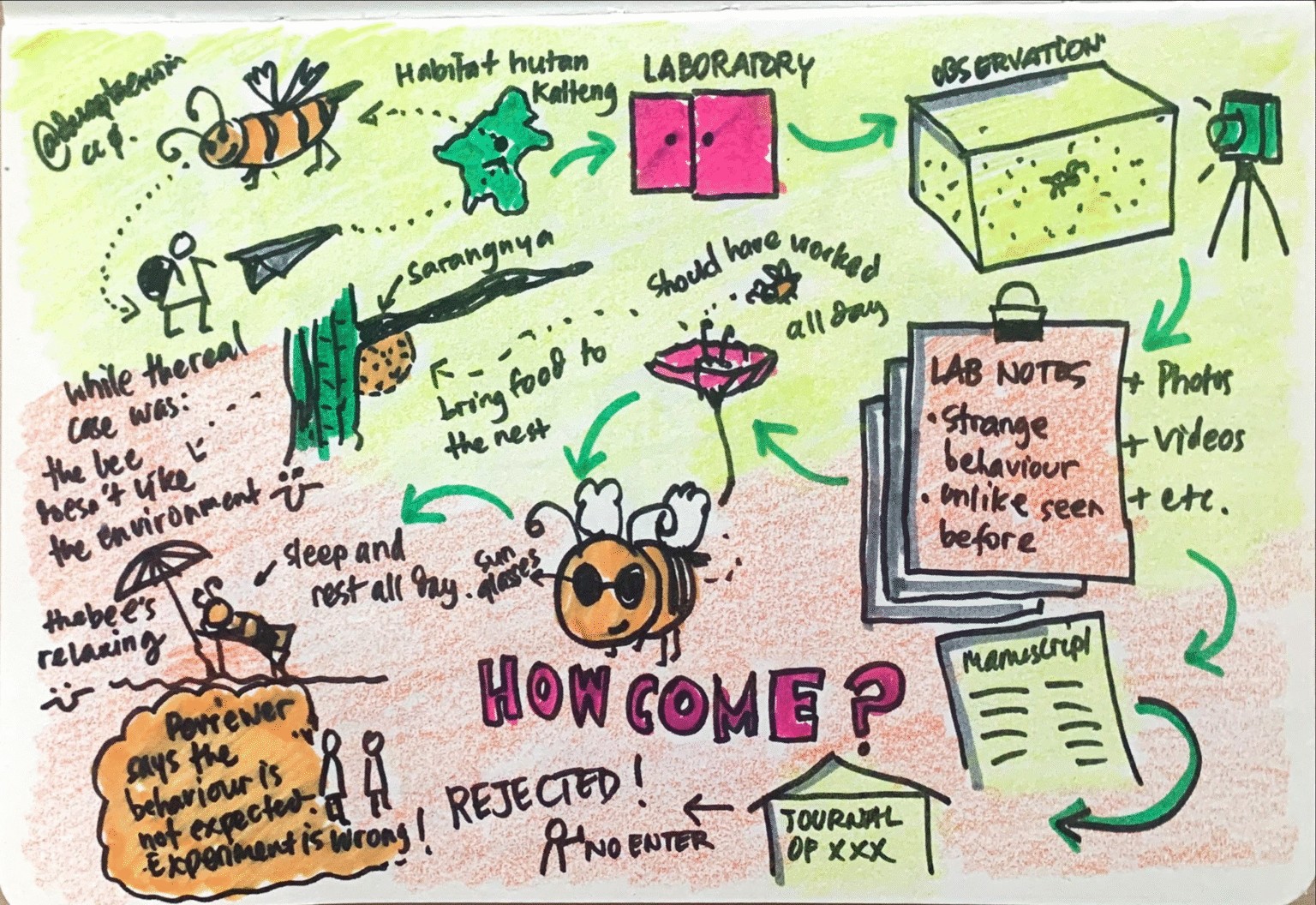 Wikimedia peer reviewed science jpeg