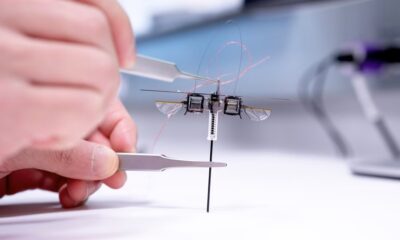 HoppingRobots 01 press 2 jpeg