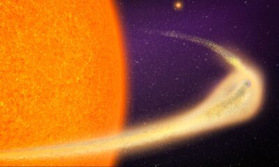 Untitled design 20 jpeg