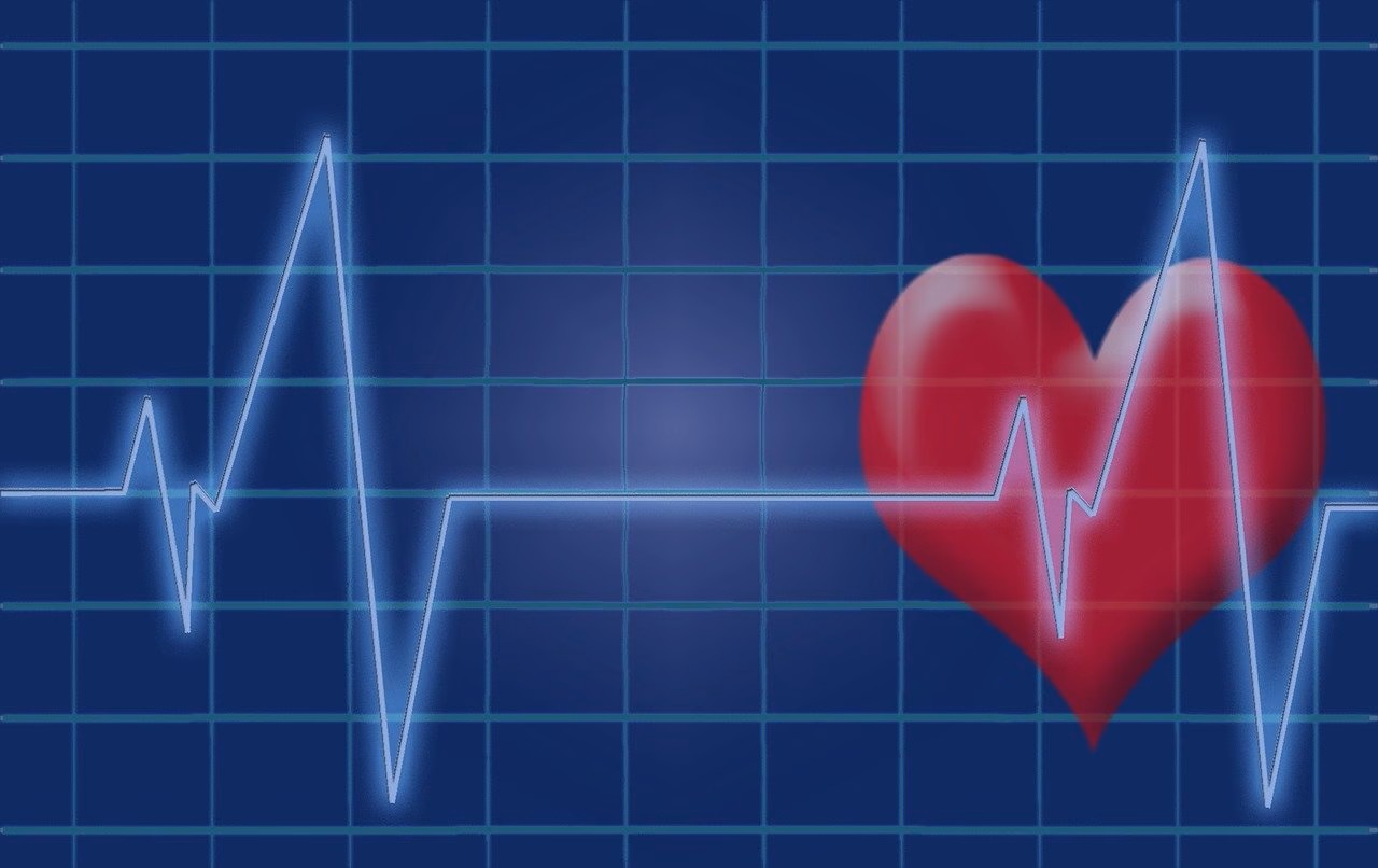 heartbeat 1892826 1280 jpeg