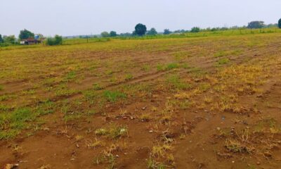 Untitled design jpeg