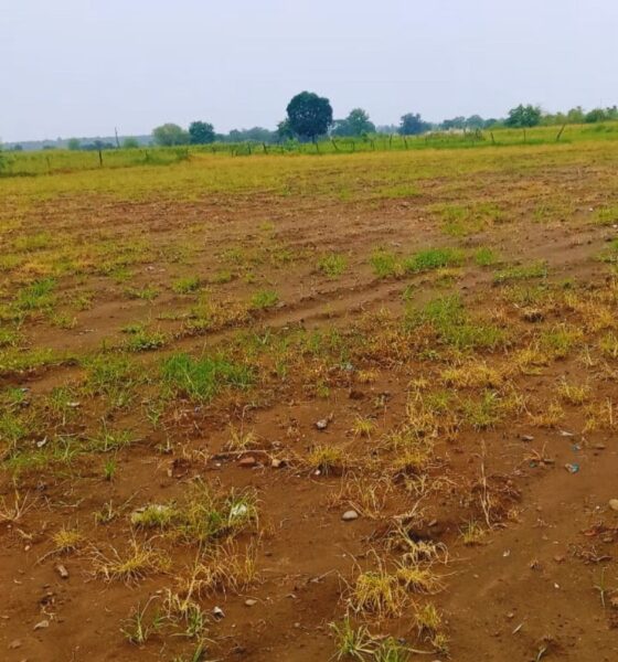 Untitled design jpeg