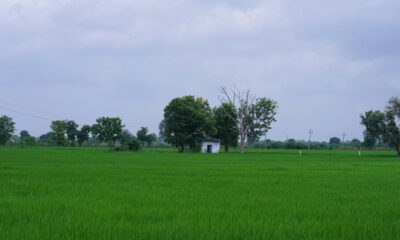 Ancient lake sediments suggest India’s monsoon was far stronger during medieval warm period