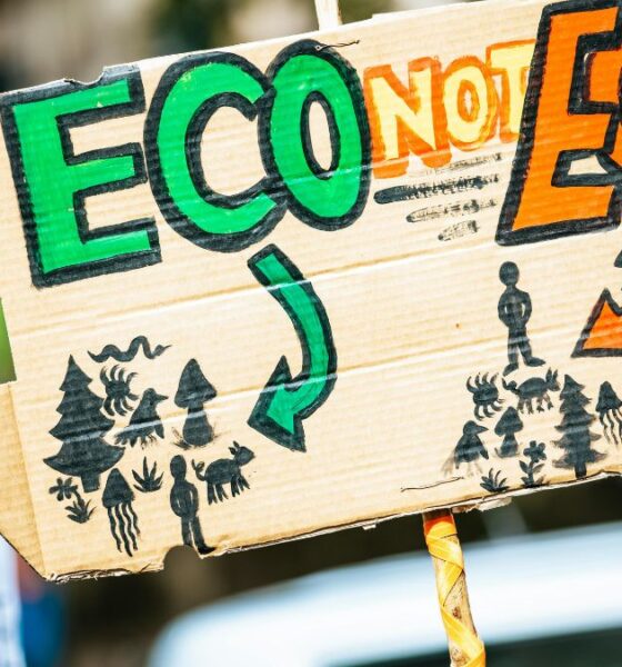 The climate impact of FTAs is becoming a defining issue for India’s trade negotiations, as carbon-linked rules like the EU’s CBAM increasingly shape market access and industrial competitiveness.