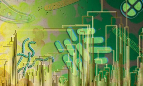 MIT Study Suggests Life Used Oxygen Far Earlier Than Thought