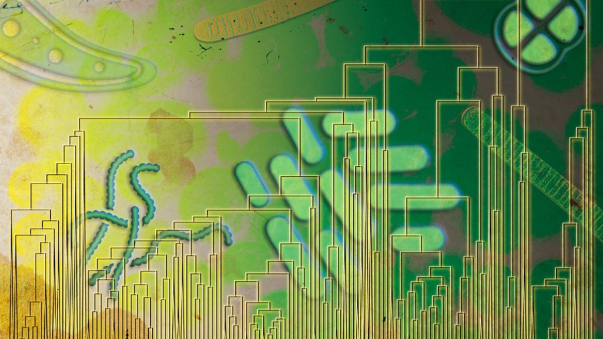 MIT Study Suggests Life Used Oxygen Far Earlier Than Thought