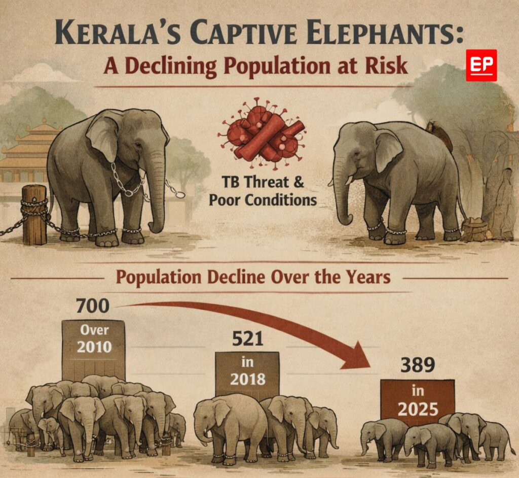 Tuberculosis in Kerala's captive elephants: Declining elephant numbers, chronic illness, and gaps in screening reveal a preventable crisis within Kerala’s captive elephant system