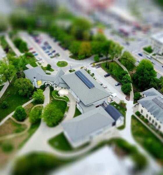 Wealthier Neighbourhoods Enjoy More Tree Shade, Exposing Global Heat Inequality. New Study Finds