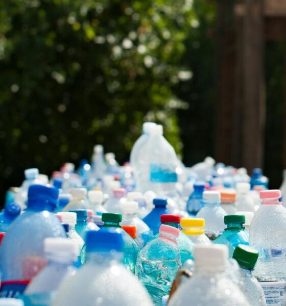 MIT researchers uncover how ocean bacteria collaborate to degrade biodegradable plastics, offering new hope for tackling plastic waste.