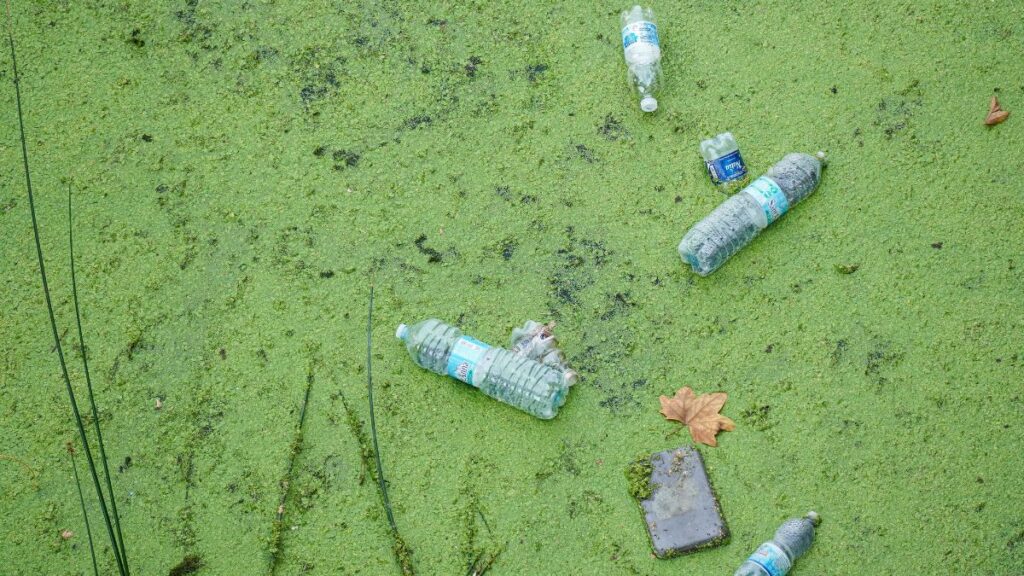 Plastic biodegradation challenge with discarded plastic materials