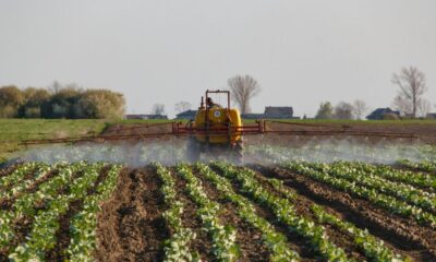 Hormuz crisis highlights risks of fertiliser dependency as experts warn of food security threats and call for agroecology shift.