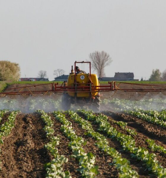 Hormuz crisis highlights risks of fertiliser dependency as experts warn of food security threats and call for agroecology shift.