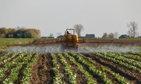 Hormuz crisis highlights risks of fertiliser dependency as experts warn of food security threats and call for agroecology shift.