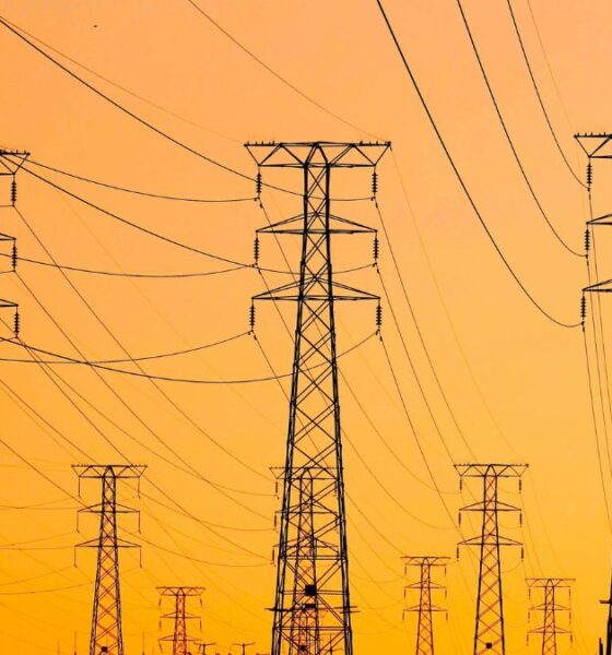 India’s Power Future: 70% Non-Fossil Capacity by 2035-36, But Grid Challenges Loom