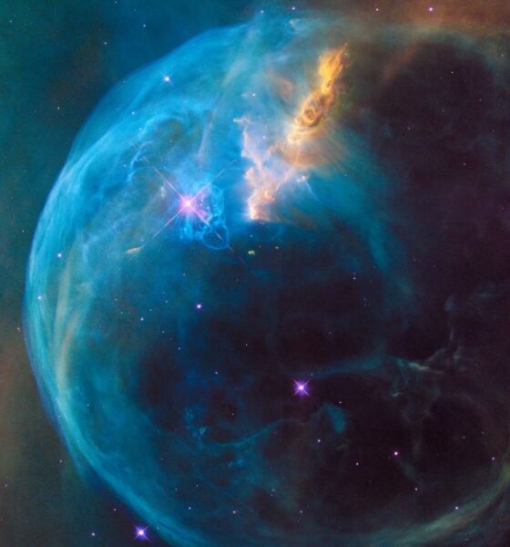 Magnetic fields star formation in molecular clouds within a nebula in the Milky Way