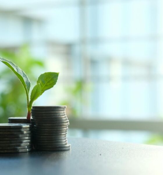 India’s Energy Transition Faces $145B Financing Challenge