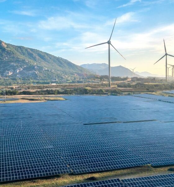 After the Hormuz blockade, renewables—not coal—met energy demand, signalling a major shift in global energy systems.