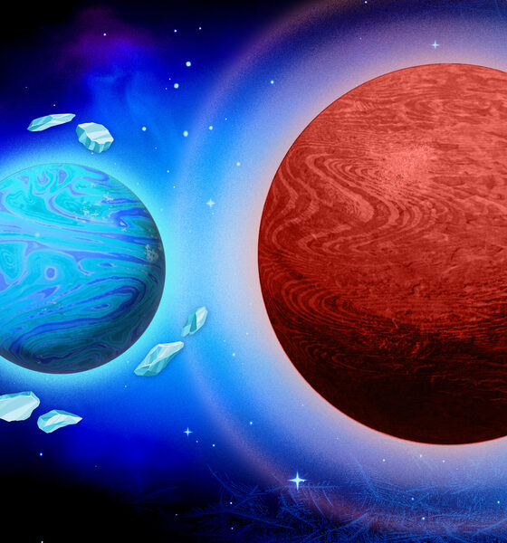 JWST mini-Neptune study reveals rare exoplanet formation clue
