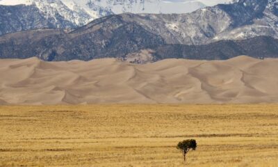 Global temperature record trends highlighted in a climate change analysis showing rising temperatures worldwide.