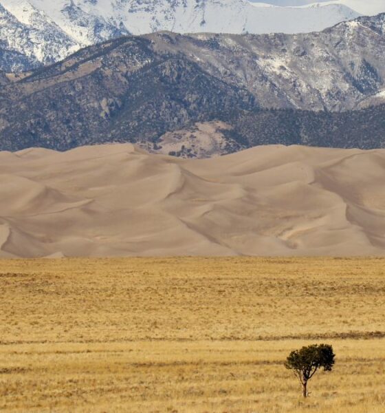 Global temperature record trends highlighted in a climate change analysis showing rising temperatures worldwide.