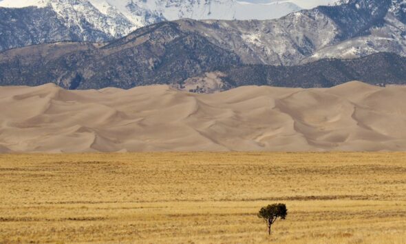 Global temperature record trends highlighted in a climate change analysis showing rising temperatures worldwide.