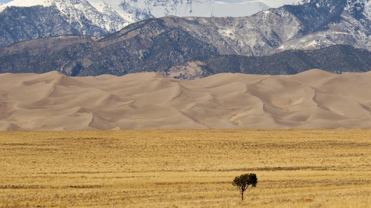 Global temperature record trends highlighted in a climate change analysis showing rising temperatures worldwide.