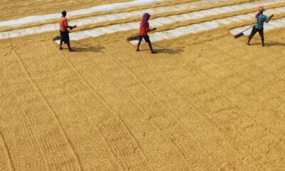 Global warming in India has become a hard reality, but many people aren’t yet able to name what they are experiencing