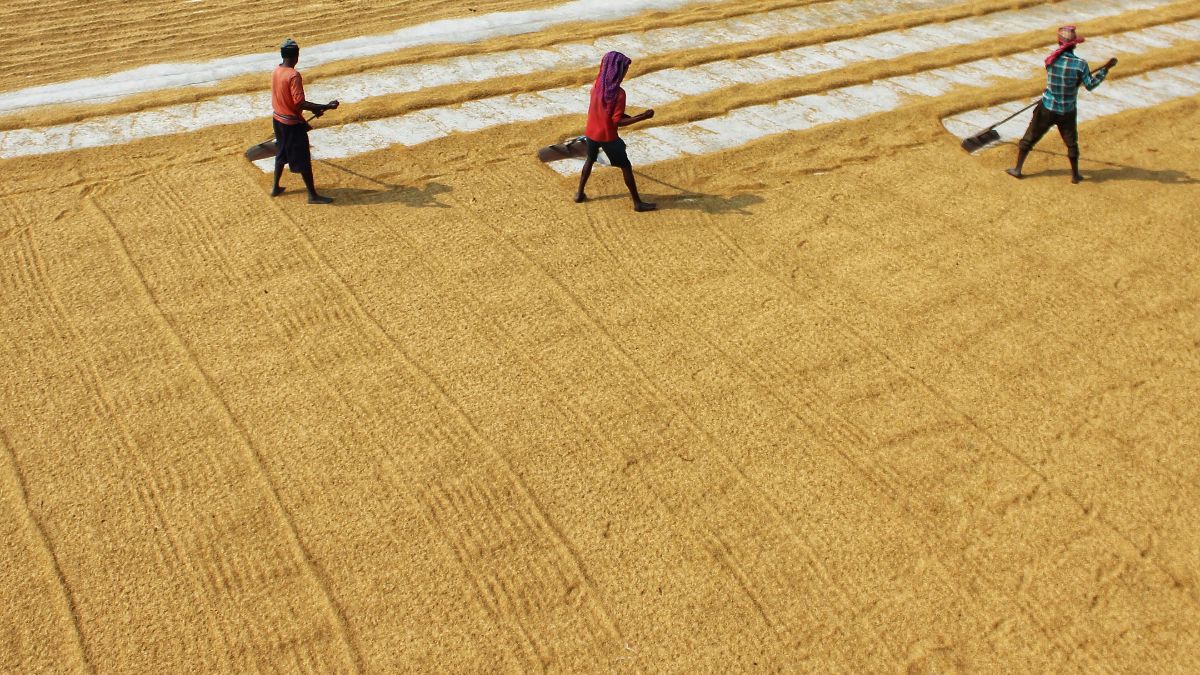 Global warming in India has become a hard reality, but many people aren’t yet able to name what they are experiencing