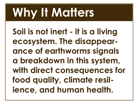 The Silent Collapse Beneath Our Feet: India’s Earthworm Crisis 43 j3 1