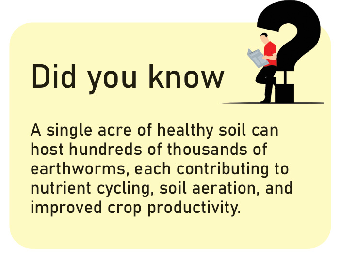 The Silent Collapse Beneath Our Feet: India’s Earthworm Crisis 44 j4 1