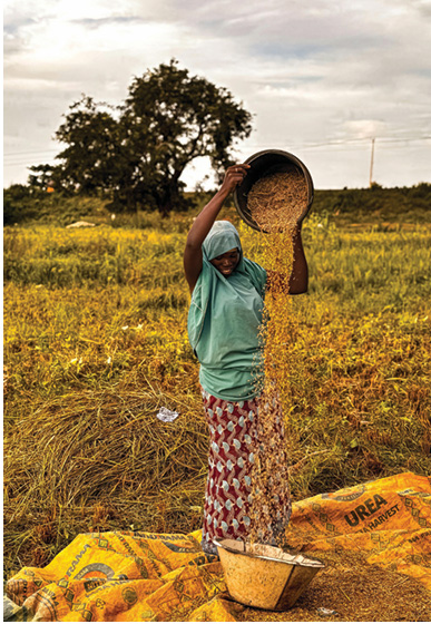 The Silent Collapse Beneath Our Feet: India’s Earthworm Crisis 45 j5 1