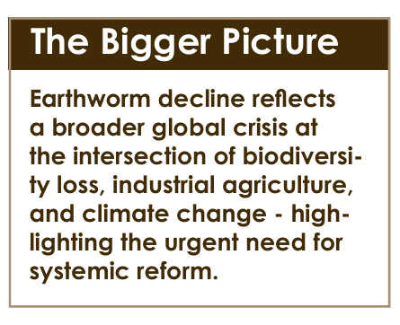 The Silent Collapse Beneath Our Feet: India’s Earthworm Crisis 46 j7 1