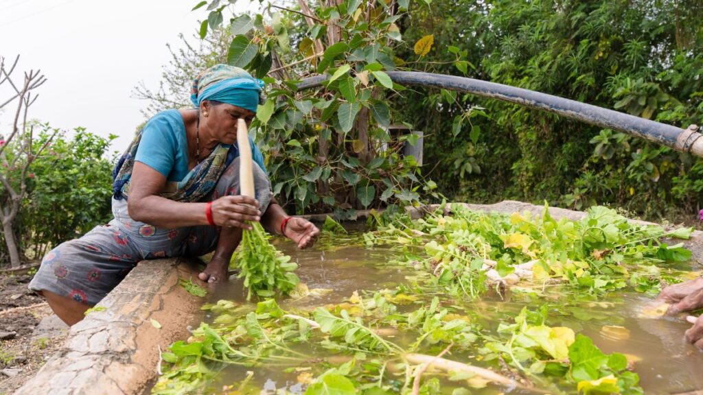 Domestic Wastewater Overtakes Garbage as Kerala's Biggest Waste-Sector Emitter, Report Finds 42 Wastewater