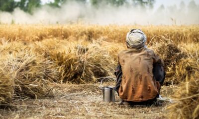 Farmer sitting in a harvested wheat field during hot weather, highlighting the economic impact of extreme heat on agricultural workers in India.