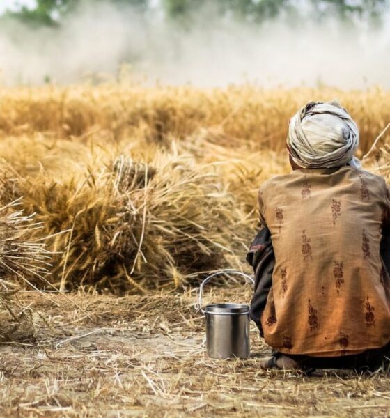 Farmer sitting in a harvested wheat field during hot weather, highlighting the economic impact of extreme heat on agricultural workers in India.