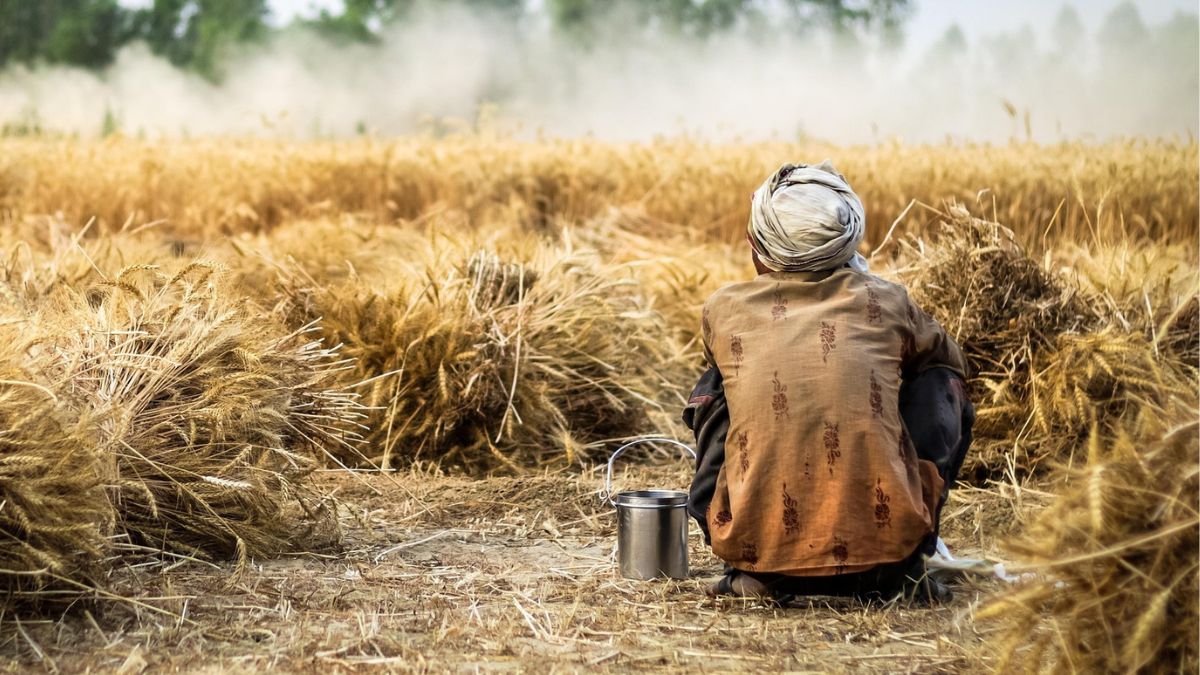 Farmer sitting in a harvested wheat field during hot weather, highlighting the economic impact of extreme heat on agricultural workers in India.