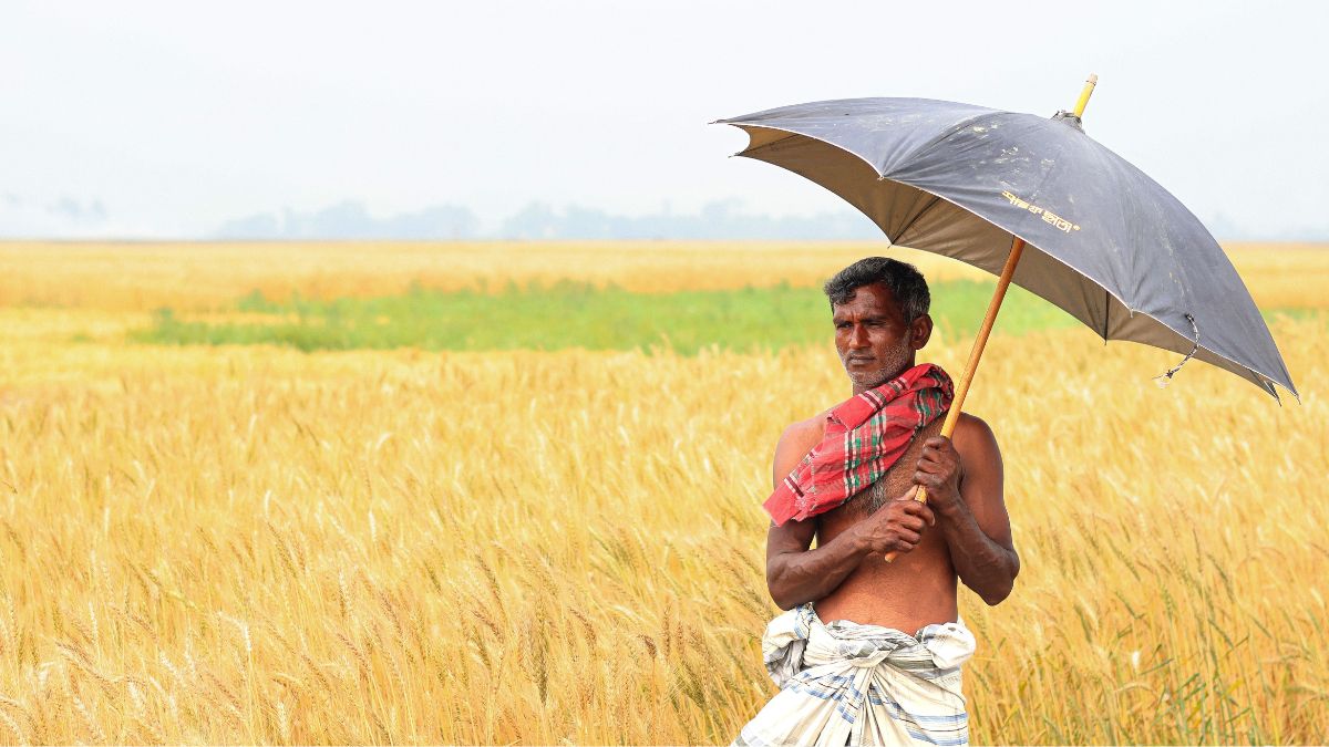 A farmer managing heat health risks under a black umbrella in a sunny field in South India.
