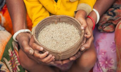 Child and adult hands holding a bowl of rice, symbolising India's food security efforts and the challenge of accessing nutritious diets.