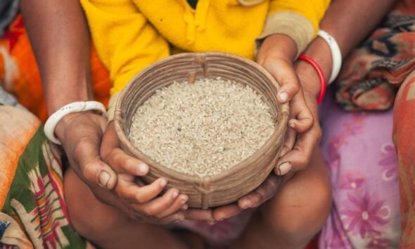 Child and adult hands holding a bowl of rice, symbolising India's food security efforts and the challenge of accessing nutritious diets.
