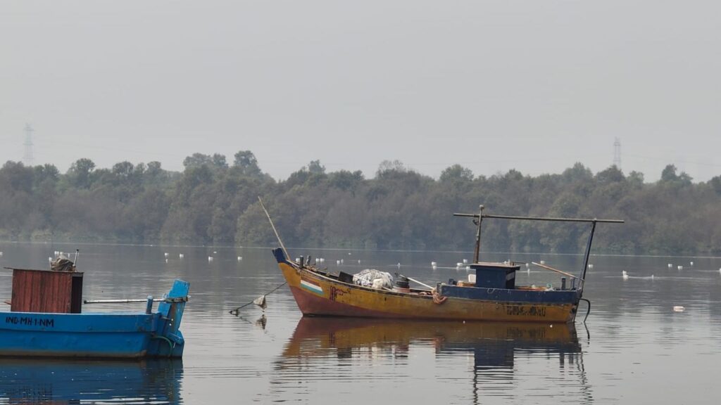 Mumbai Mangroves Saved the City Before. Can They Do It Again?