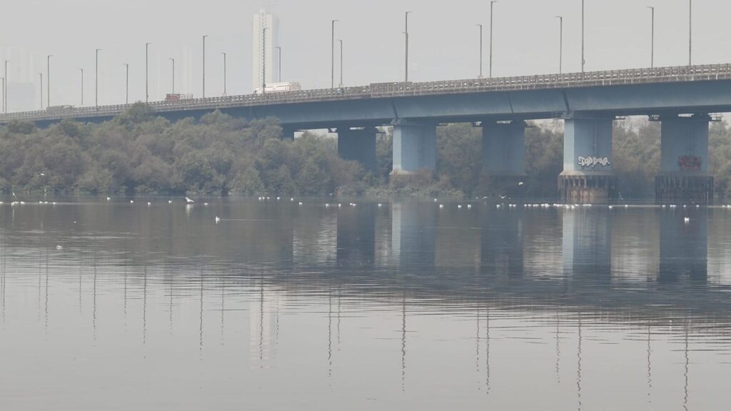 How Mumbai Mangroves Protect the City from Floods