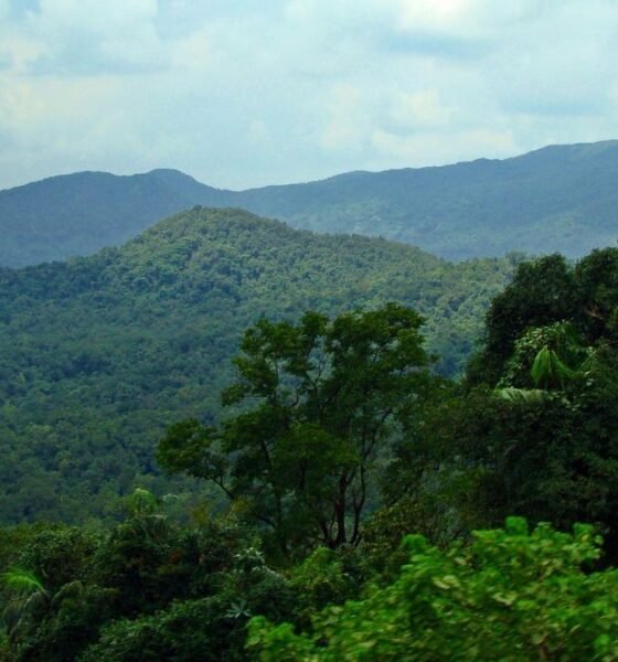 Western Ghats landscape proposed under ESA protection