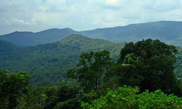 Western Ghats landscape proposed under ESA protection