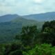 Western Ghats landscape proposed under ESA protection