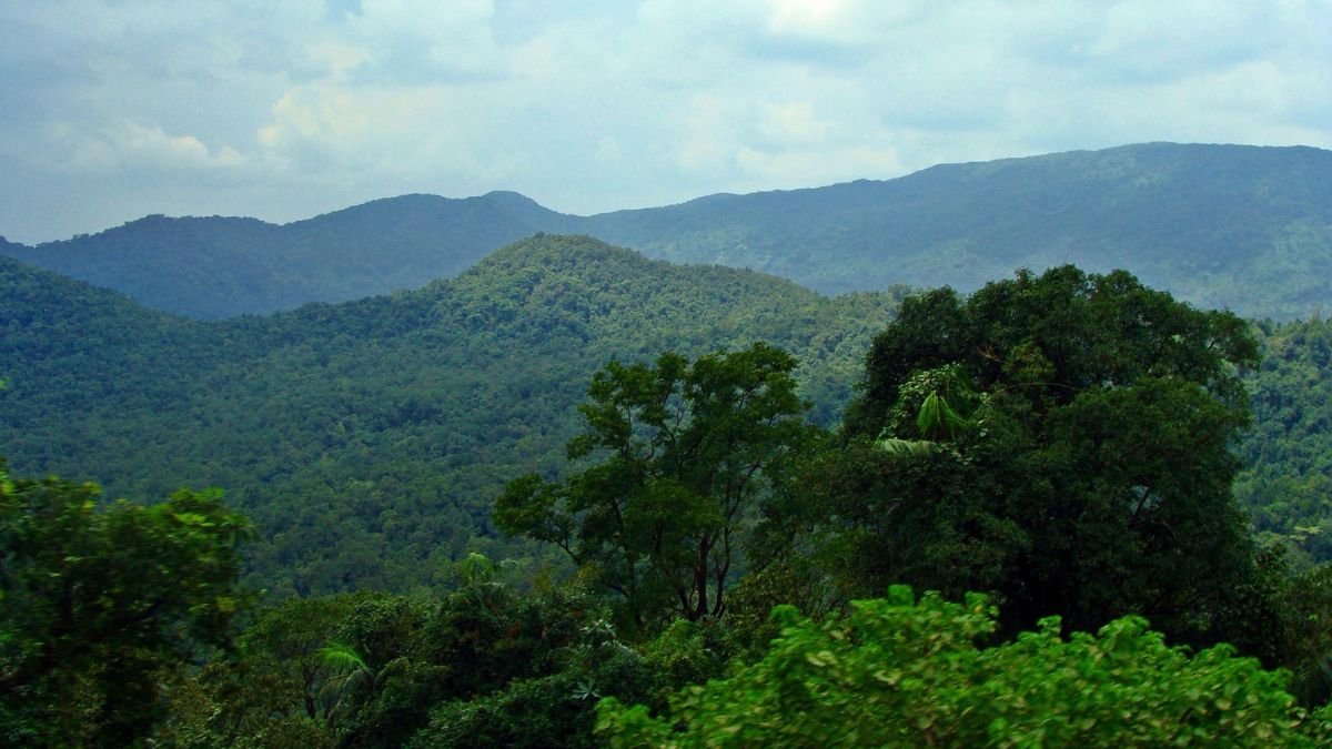Western Ghats landscape proposed under ESA protection