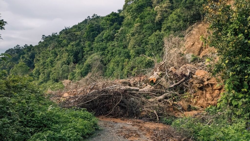 Landslide debris on a forested Western Ghats hillside within the proposed ESA.