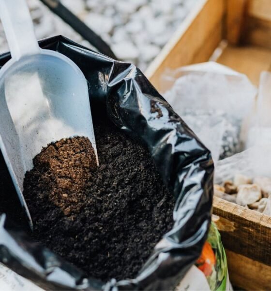 Alt text: Nitrogen fertiliser in a scoop over soil and organic compost