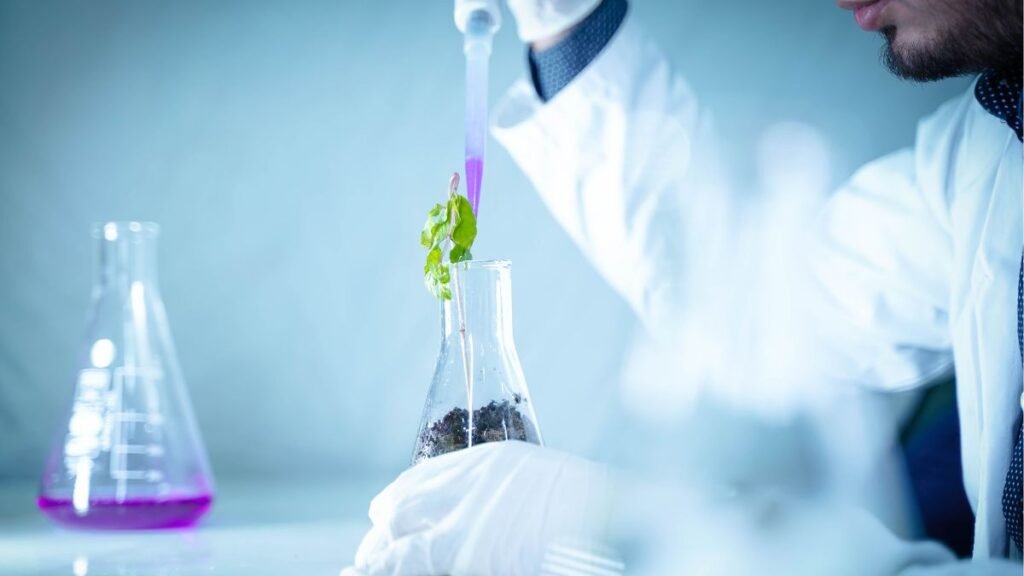 Deforestation Could Erase the Biological Library Behind Future Medicines 42 Scientist examining a plant sample in a laboratory for potential medical research