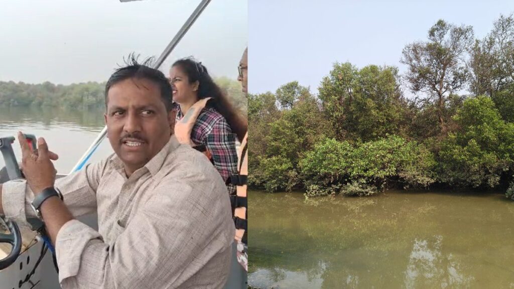 How Mumbai Mangroves Protect the City from Floods
